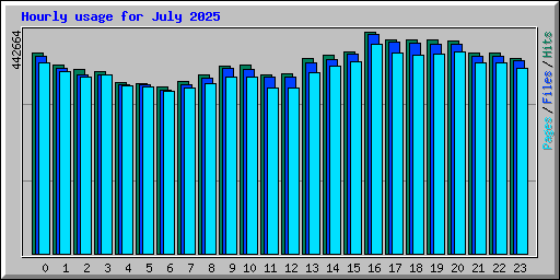 Hourly usage for July 2025