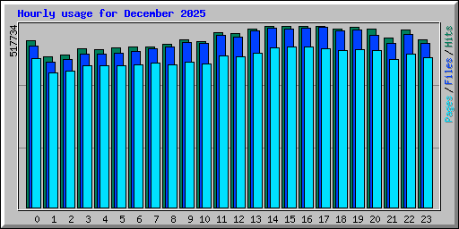 Hourly usage for December 2025